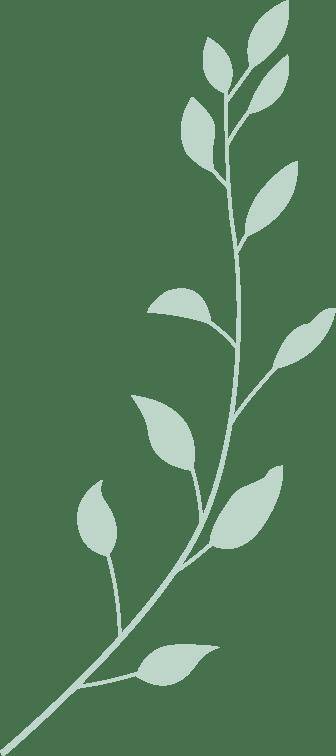 见面会精彩集锦新鲜出炉！