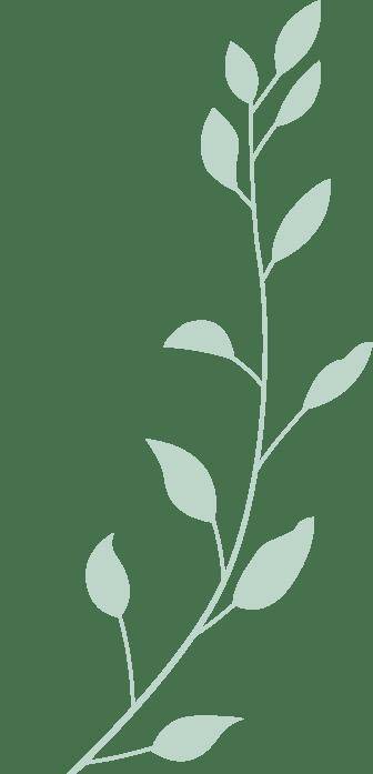 见面会精彩集锦新鲜出炉！