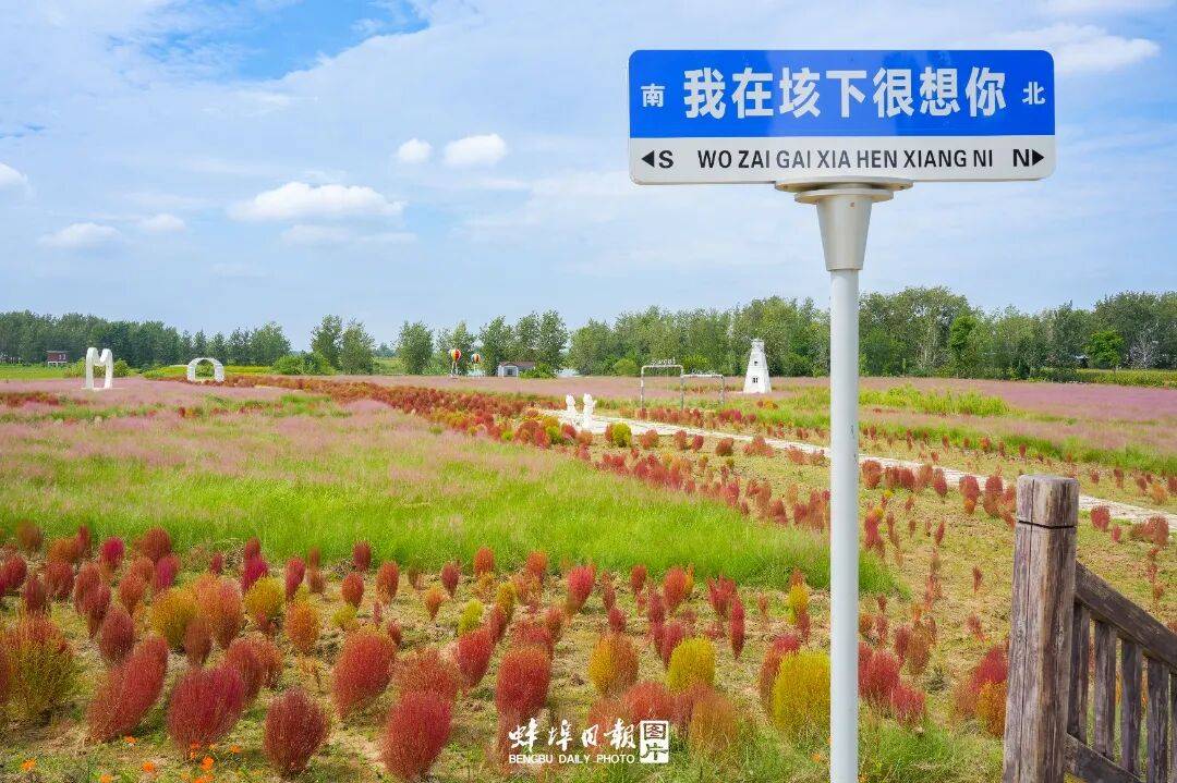 马年春节去哪玩？我，要去固镇了！